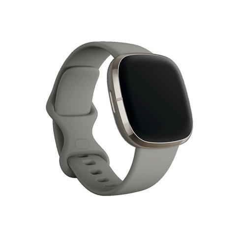 Fitbit - FitBit SenseSage Grey/Silver