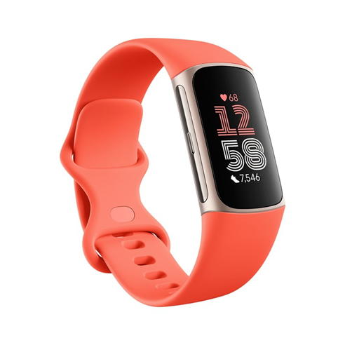 Fitbit - WRB CHRGE 6 CORAL CHAMPAGNE
