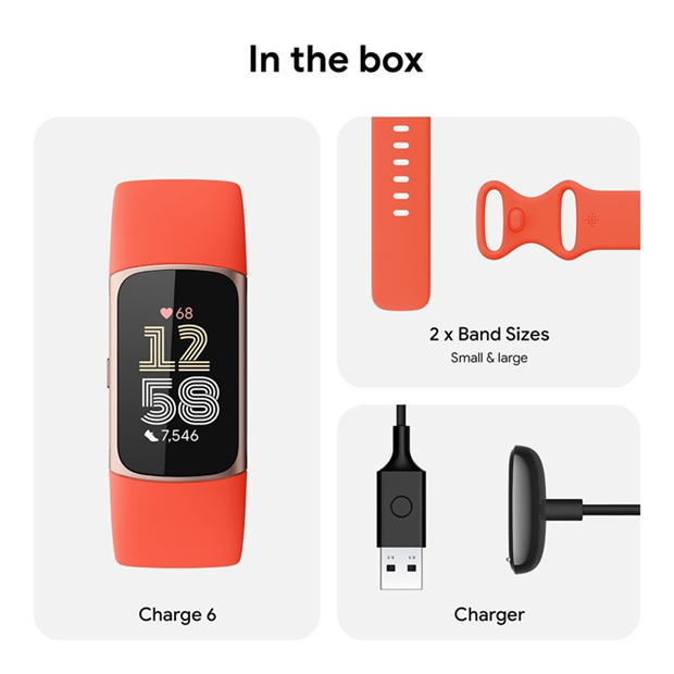 Merchandise - Fitbit - WRB CHRGE 6 CORAL CHAMPAGNE